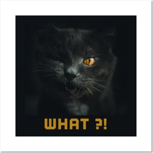 Black cat what ?! Posters and Art